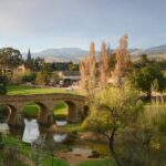 Richmond and Wine Tour - Why This Tour Offers Great Value