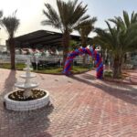 Riyadh: Arabian Horse Riding Experience - What to Expect During Your Horse Riding Experience