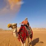 Riyadh: Desert Sand Dunes (VIT-Qude bike + Camel Ride) - The Desert Dunes and Adventure Activities