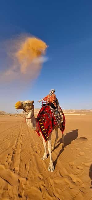 Riyadh: Desert Sand Dunes (VIT-Qude bike + Camel Ride) - The Desert Dunes and Adventure Activities