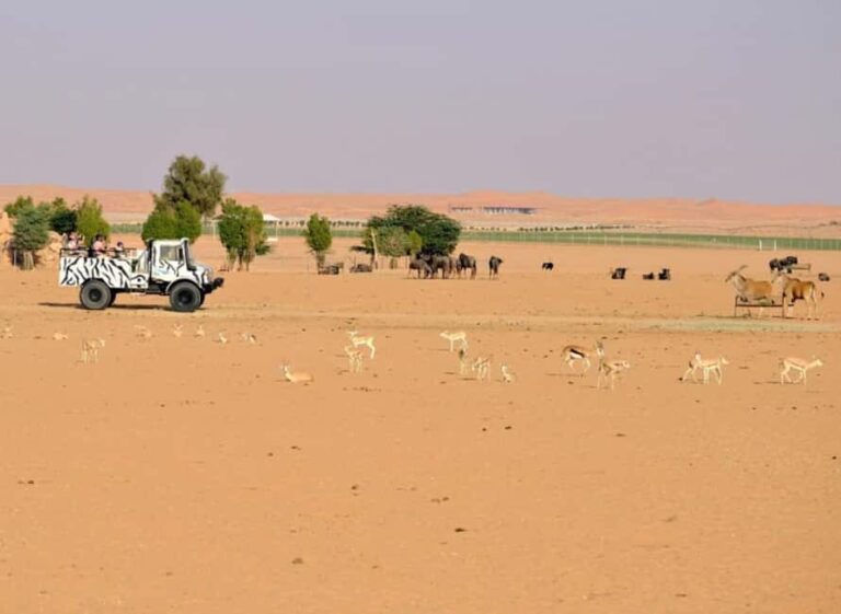 Riyadh: Open-Topped Vehicle Safari at Nofa Wildlife Park - Authentic Experiences and Hidden Details