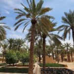 Riyadh Private Full or Half-Day City Tour with Kingdom Tower - What to Expect on Each Tour Version