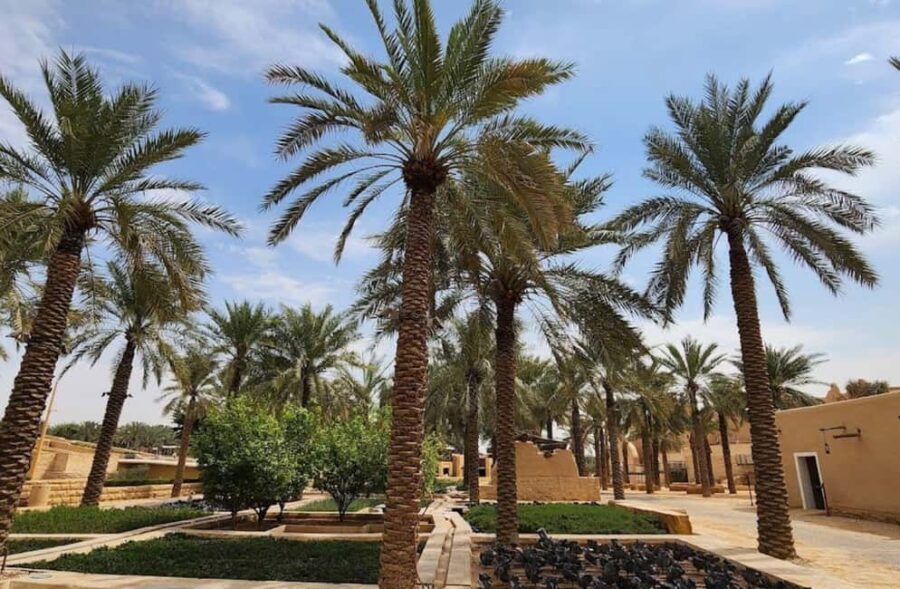 Riyadh Private Full or Half-Day City Tour with Kingdom Tower - What to Expect on Each Tour Version