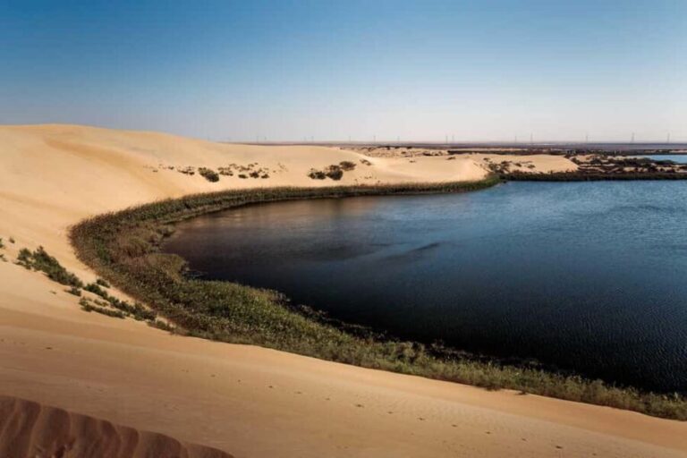 Riyadh: Private Tour to the Yellow Lake and Sand Dunes - Why This Tour Offers Great Value