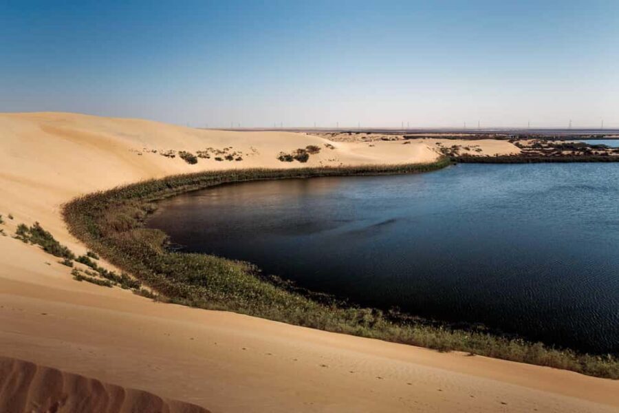 Riyadh: Private Tour to the Yellow Lake and Sand Dunes - Why This Tour Offers Great Value