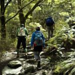 Rob Roy Glacier Guided Walk - Practical Tips for Making the Most of the Tour