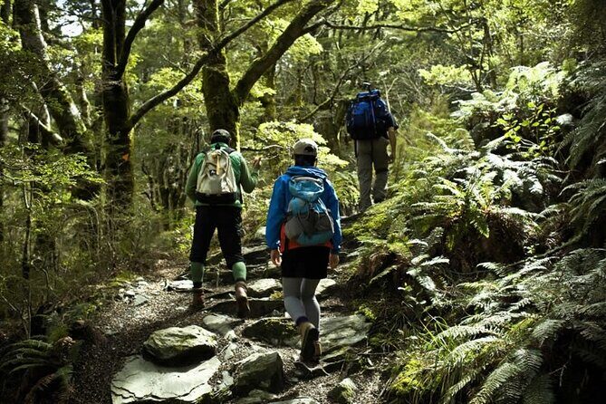 Rob Roy Glacier Guided Walk - Practical Tips for Making the Most of the Tour