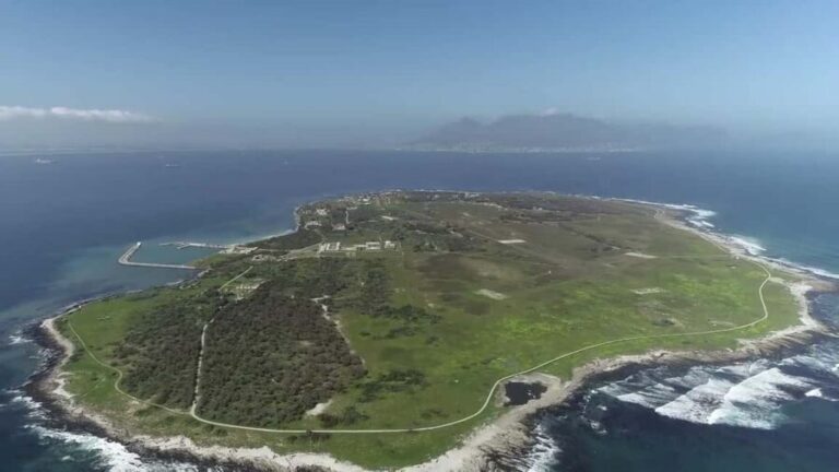Robben Island Half Day Tour With Pre Booked Ticket - Key Points