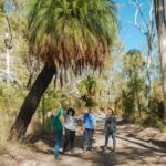 Roma: Lost World Carnarvons (Wallaroo) Day Tour - Who Would Love This Experience?