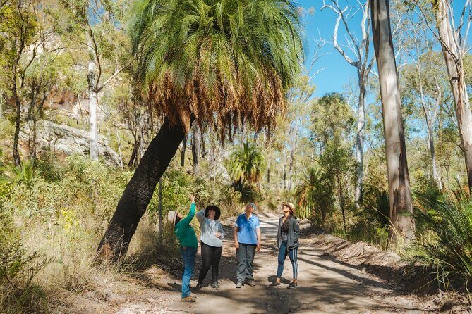 Roma: Lost World Carnarvons (Wallaroo) Day Tour - Who Would Love This Experience?