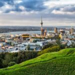 Romantic Charms of Auckland  Private Walking Tour - The Value of a Private Guided Tour