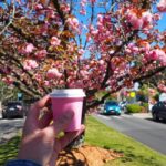 Roos, Blues & Views - Blue Mountains Day Tour w Lunch - Overview of the Tour Experience