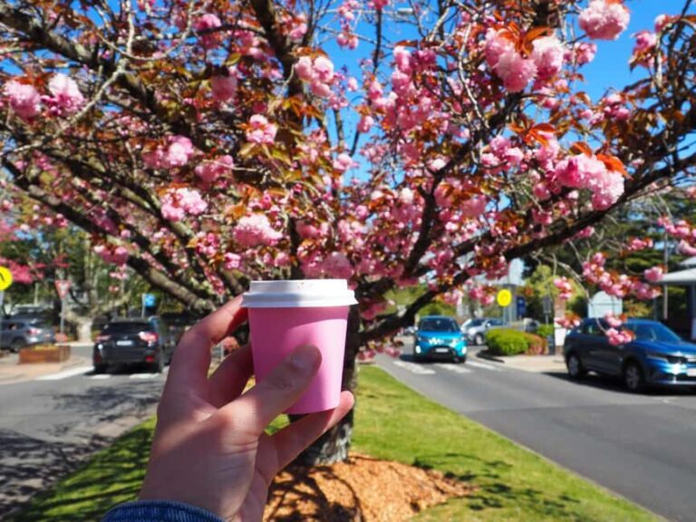 Roos, Blues & Views - Blue Mountains Day Tour w Lunch - Overview of the Tour Experience