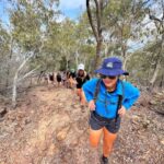 Rosslyn: Great Keppel Island Glass Bottom Boat Tour - The Itinerary Breakdown: What to Expect