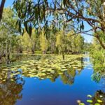 Rossville: Aboriginal Cultural Experience with Mooks - Why This Tour Is Worth Considering