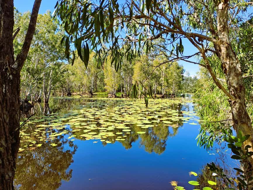 Rossville: Aboriginal Cultural Experience with Mooks - Why This Tour Is Worth Considering