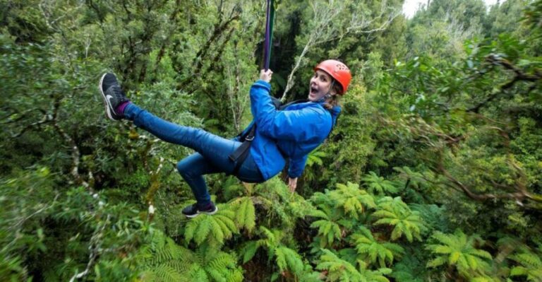 Rotorua: 6 Ziplines, Swing-Bridges & Wildlife Encounters - The Itinerary: What to Expect Step-by-Step