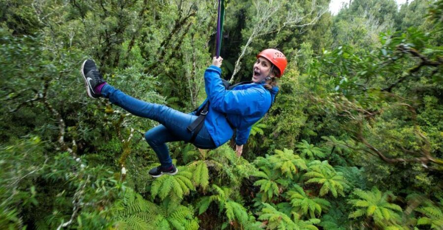 Rotorua: 6 Ziplines, Swing-Bridges & Wildlife Encounters - The Itinerary: What to Expect Step-by-Step