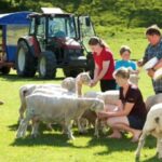 Rotorua Adventures Private Tour - Who Is This Tour Best For?