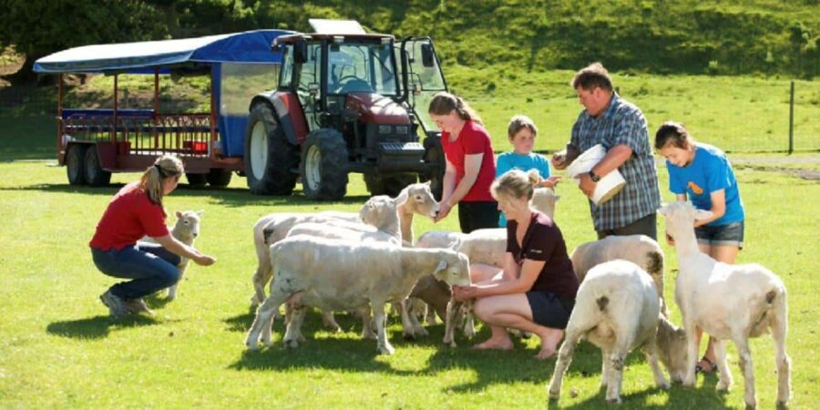 Rotorua Adventures Private Tour - Who Is This Tour Best For?
