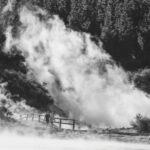 Rotorua: Hell's Gate Geothermal Walk - Overview of the Experience