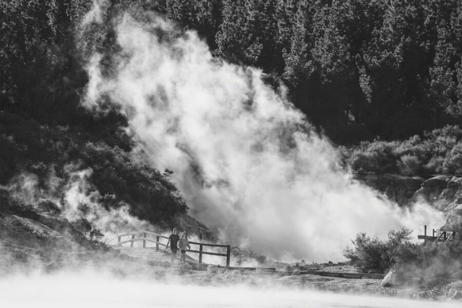 Rotorua: Hell's Gate Geothermal Walk - Overview of the Experience