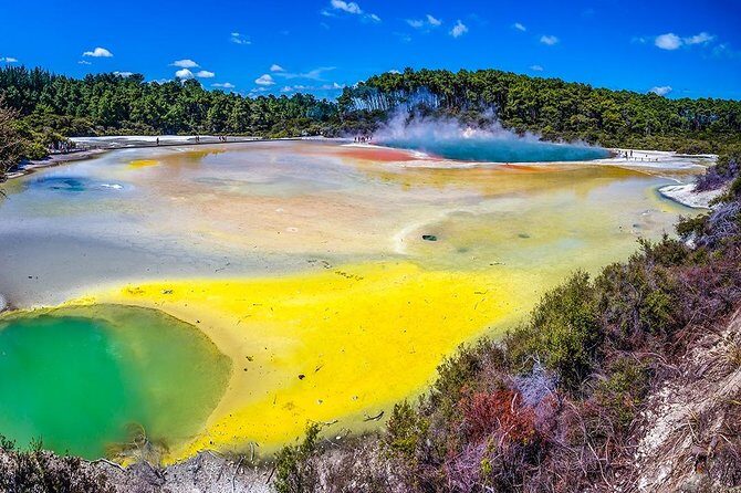 Rotorua Highlights Tour from Auckland with Optional Extras - Practical Details and What to Expect