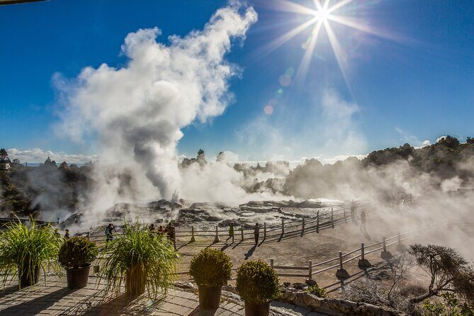 Rotorua Highlights Tour inc. Te Puia Tour, Lunch & Cultural Show - Te Puia: The Heart of Maori Culture and Geothermal Power