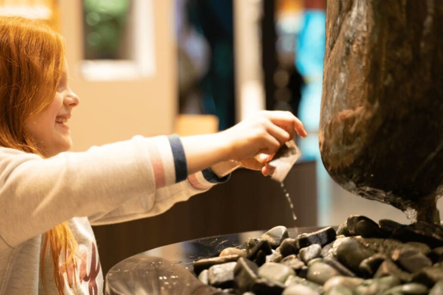 Rotorua: Jade Carving Experience at a Local Studio - Discovering Rotorua’s Jade Carving Studio: What You Can Expect