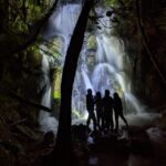 Rotorua: Nocturnal Glow-Worm Adventure Tour with a Guide - Deep Dive into the Itinerary and Experience