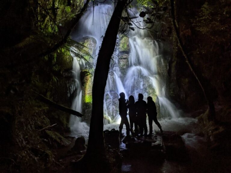 Rotorua: Nocturnal Glow-Worm Adventure Tour with a Guide - Deep Dive into the Itinerary and Experience