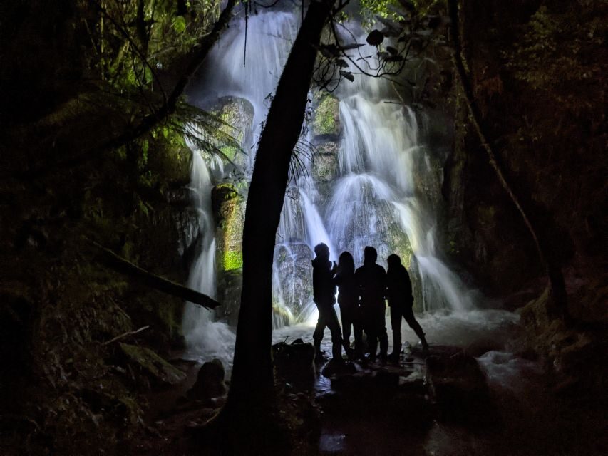 Rotorua: Nocturnal Glow-Worm Adventure Tour with a Guide - Deep Dive into the Itinerary and Experience