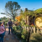 Rotorua: One-Way Trip to Auckland via Hobbiton & Waitomo - Total Value and Practical Details