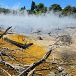 Rotorua: Private Day Tour with Tesla Model Y - Itinerary Breakdown and Highlights
