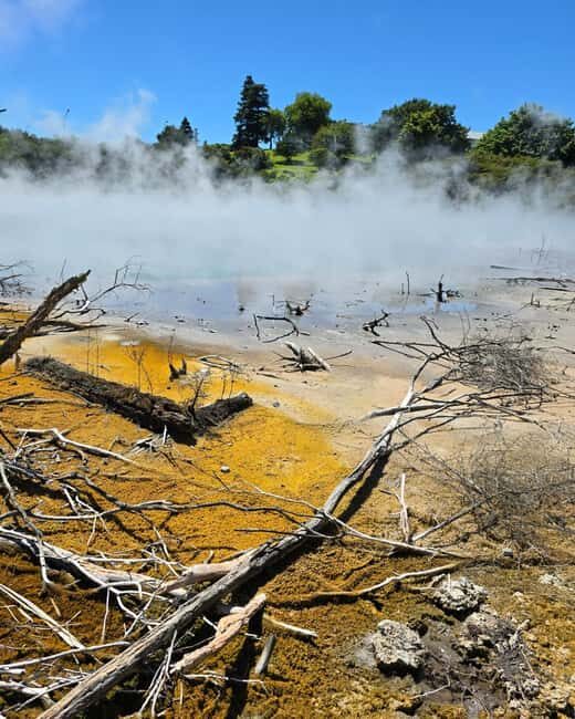 Rotorua: Private Day Tour with Tesla Model Y - Itinerary Breakdown and Highlights