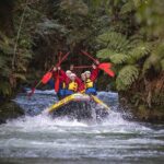 Rotorua Rafting Kaituna White Water Rafting | Kaitiaki Adventures - What to Expect on Your Kaituna River White Water Rafting Trip