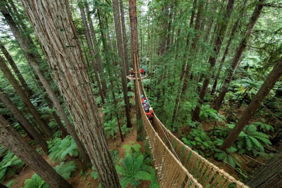 Rotorua: Redwoods Altitude High Ropes Adventure - Who Is This Tour For?