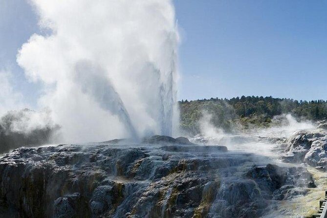 Rotorua Small-Group Day Tour from Auckland - The Real Experience: Insights from Reviewers