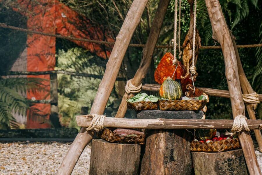 Rotorua: Te Pa Tu Mori Cultural Experience with Dinner - The Itinerary: What You Can Expect