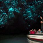Rotorua to Auckland - Afternoon Transfer with Waitomo Caves - The Real Value of This Tour