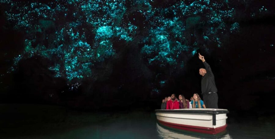 Rotorua to Auckland - Afternoon Transfer with Waitomo Caves - The Real Value of This Tour