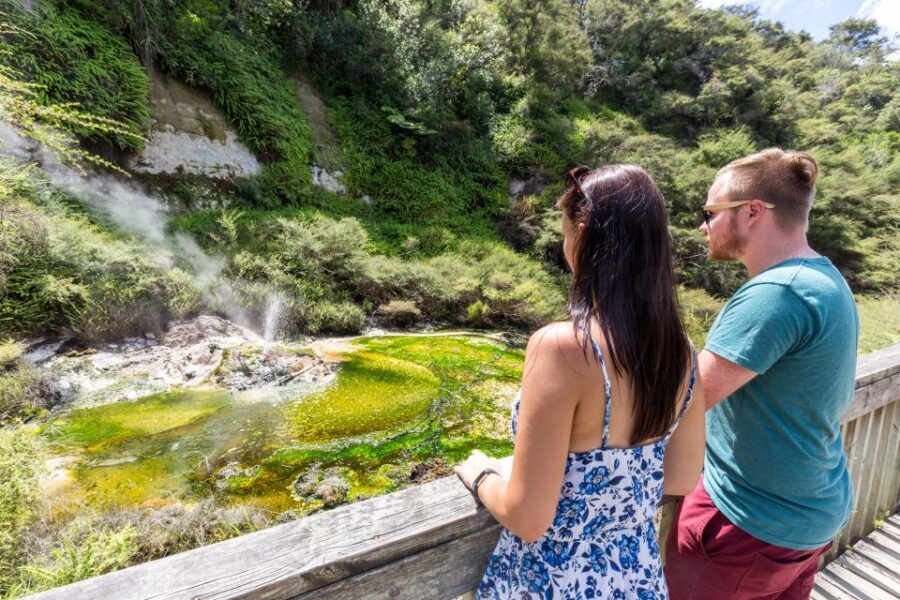 Rotorua: Waimangu Volcanic Valley Ticket & Self-Guided Walk - What to Expect: An In-Depth Look at Your Self-Guided Tour