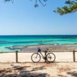 Rottnest Island Bayseeker Day Trip from Fremantle - Analyzing the Value