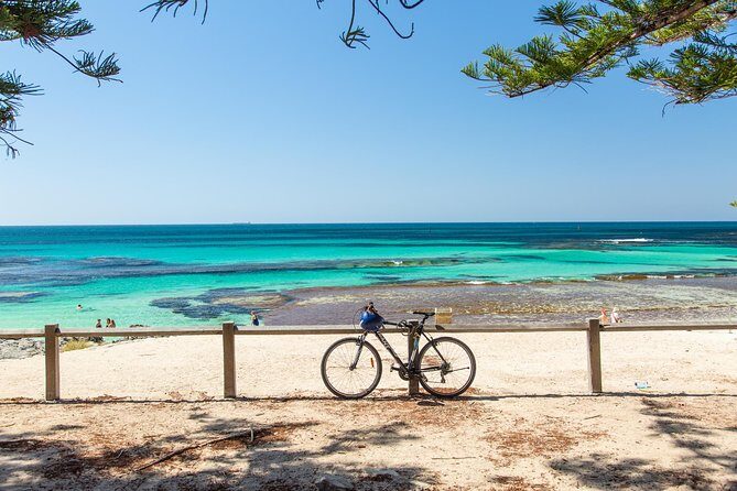 Rottnest Island Bayseeker Day Trip from Fremantle - Analyzing the Value