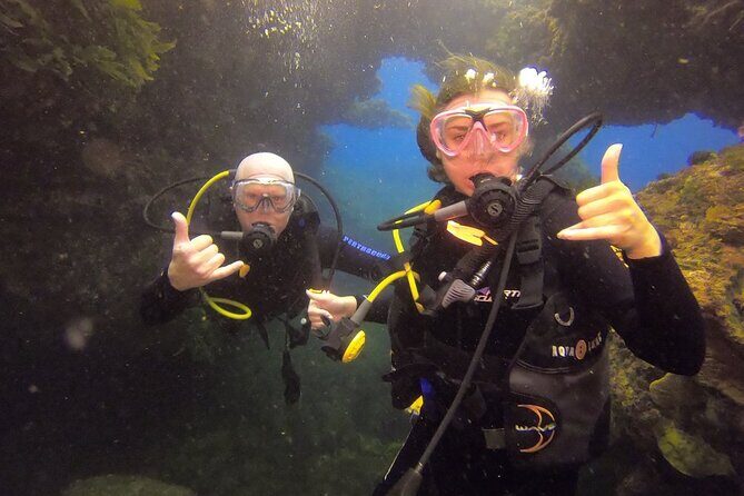 Rottnest Island Boat Dive Day Trip including Lunch - What You’ll Actually Do