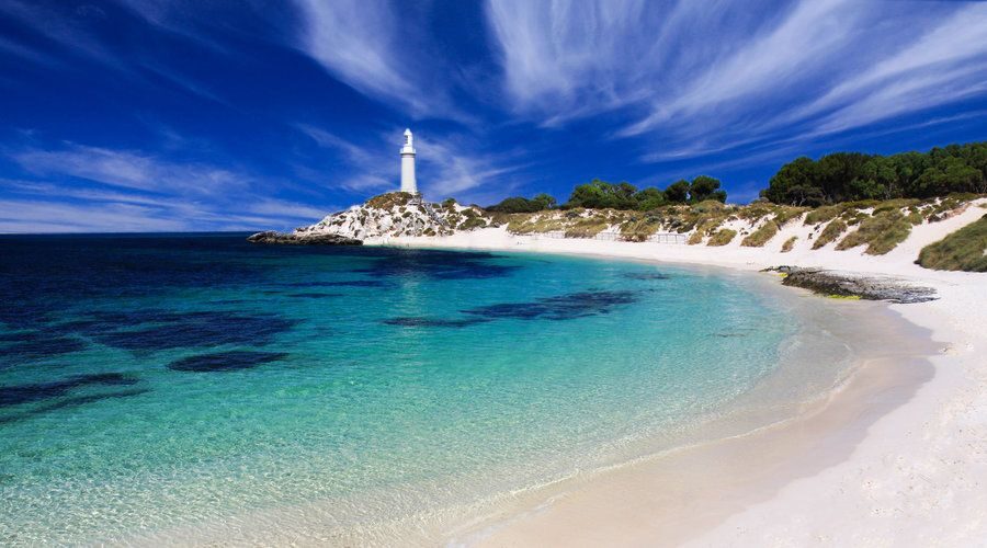 Rottnest Island: Grand Bus and Train Tour with Lunch - Who Will Love This Tour?