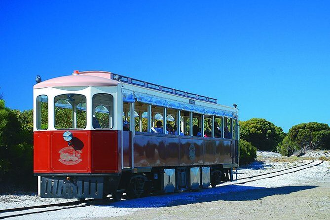 Rottnest Island Grand Tour Including Lunch and Historical Train Ride - Final Thoughts
