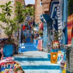 Round-trip transportation from Tangier to Chefchaouen. - Why This Tour Delivers Great Value