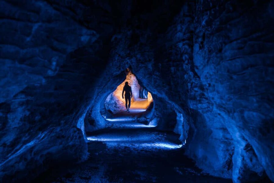 RUAKURI CAVE & HAMILTON GARDENS-PRIVATE TOUR FROM AUCKLAND - What Makes This Tour Stand Out?