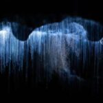 RUAKURI CAVES & HAMILTON GARDENS - Day Tour from Auckland - Who Is This Tour Best For?
